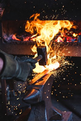 Forged in the Fires of Life